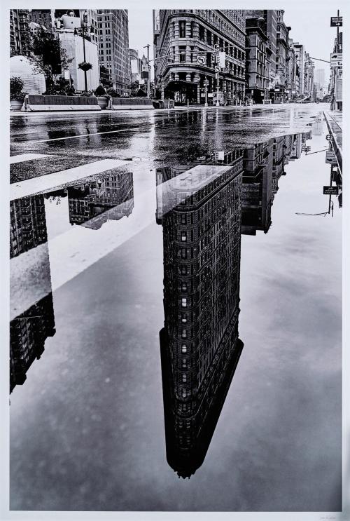 503   -  <p><span class="object_author">CUCO DE FRUTOS (La  Línea de la Concepción, 1975) - After the storm</span></p>