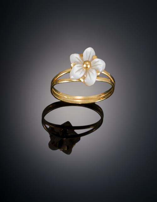 691   -  <p><span class="object_title">SORTIJA FLOR EN MADRE PERLA </span></p>