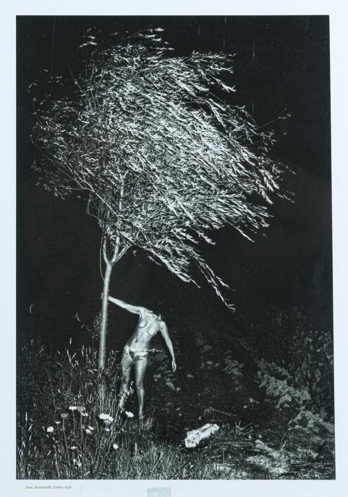 ANDY WARHOL (Pensilvania, 1928- Nueva York, 1987), Andy War