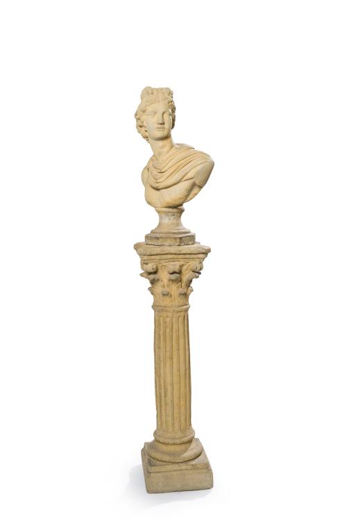 8   -  <p><span class="object_title">"Busto clásico"</span><br></p>