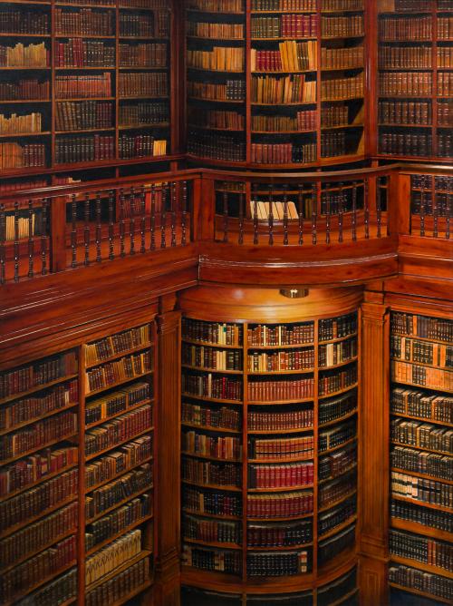 718   -  <p><span class="object_author">VICENTE FERNÁNDEZ - Biblioteca</span></p>