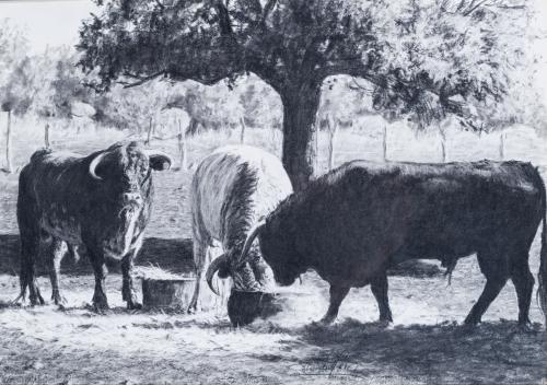 702   -  <p><span class="object_author">DEMETRIO SANZ (Segovia 1915 - Madrid, 2000) - Toros </span></p>