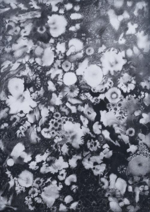 DIEGO VILLALBA (Zaragoza, 1976), Ref. 240, Dibujo a carbonc