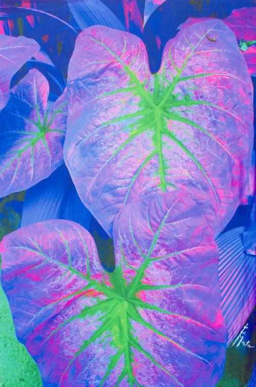 503   -  <p><span class="object_author">MANUEL DE LA MATA (Brasil, 1947- 2022) - Sin título </span></p>