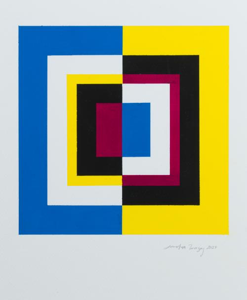 SANDRA MAZOY (Ciudad de México, 1975), Simetría primaria, G