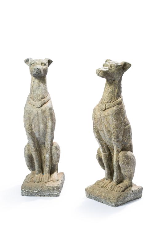 Pareja de perros en arenisca. 