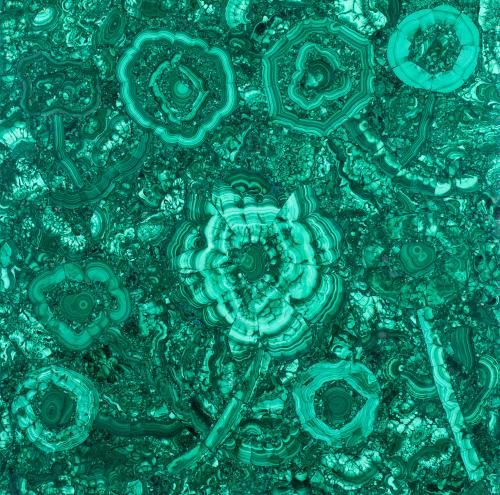 ELEMENT&CO STUDIO, The Thousand Blossoms Garden , Composici