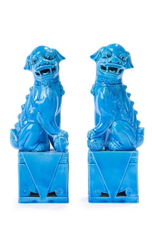 Pareja de leones de Foo en cerámica  con esmalte azul turqu