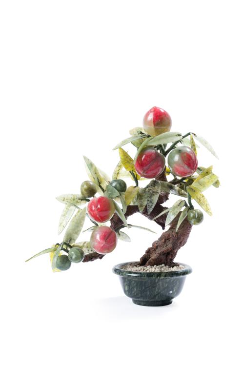 Árbol melocotonero en minuatura de piedras duras. Con macet