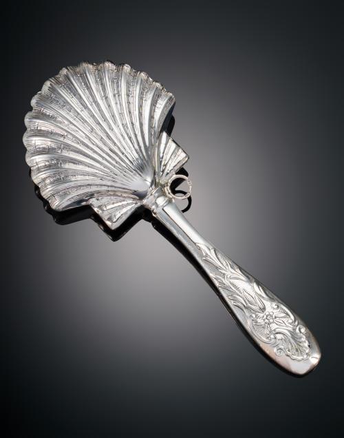 SONAGERO CONCHA CON MANGO GRABADO EN FORMAS VEGETALES