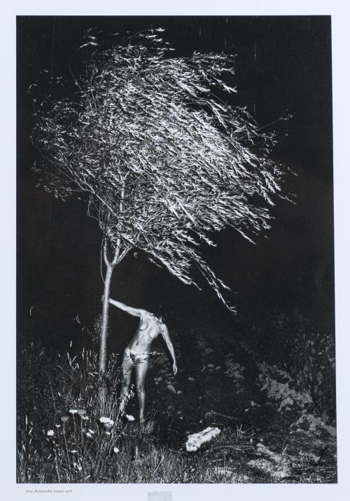 ANDY WARHOL (Pittsburgh, 1928 - Nueva York, 1987), Andy War