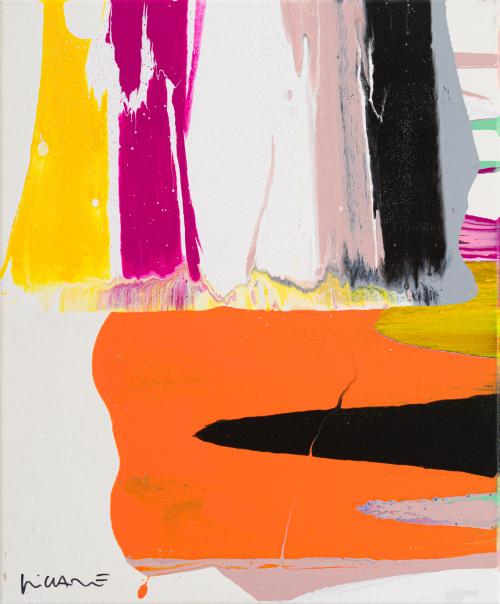 SANTIAGO PICATOSTE (Mallorca, 1971), Panning, Técnica mixta