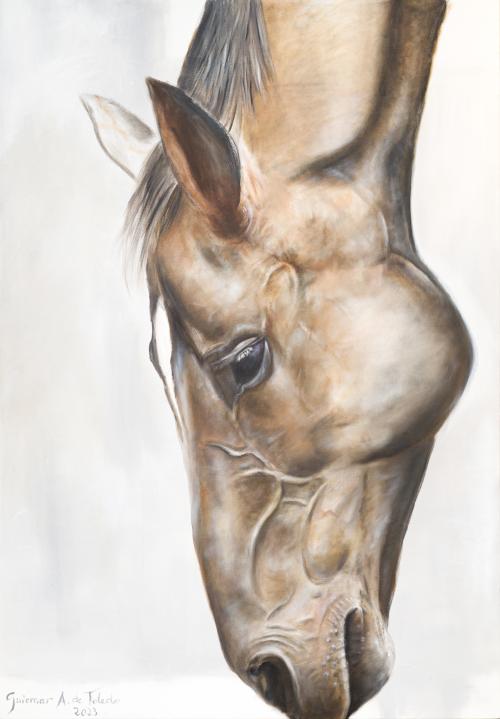 GUIOMAR A. DE TOLEDO (Madrid, 1957), Caballo, Óleo sobre li