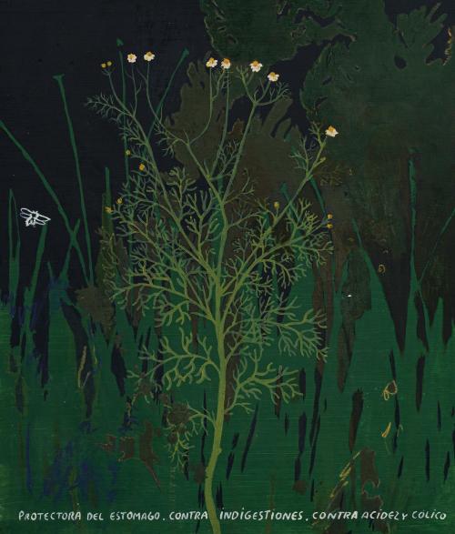 481   -  <p><span class="object_author">FEDERICO GUZMÁN (Sevilla, 1964) - Manzanilla amarga</span></p>
