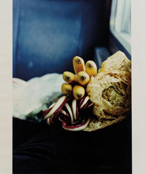 443   -  <p><span class="object_author">WOLFGANG TILLMANS (Remscheid, 1986) - Carciofo II</span></p>