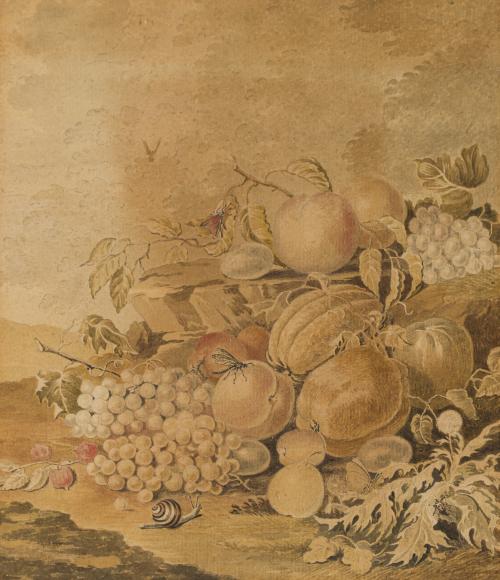 ESCUELA FLAMENCA. Siglo XVII, Bodegón con insectos, Acuarel