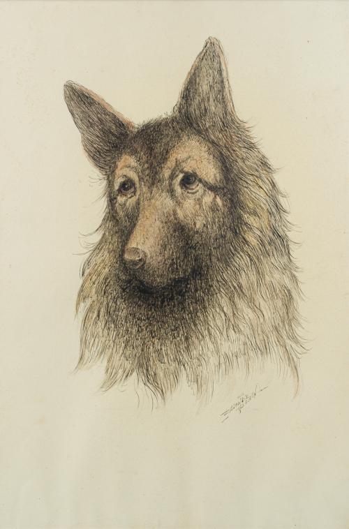 ESCUELA ESPAÑOLA. Siglo XX, Cabeza de lobo , Tinta sobre pa