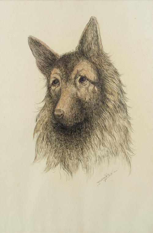 ESCUELA ESPAÑOLA. Siglo XX, Cabeza de lobo , Tinta sobre pa