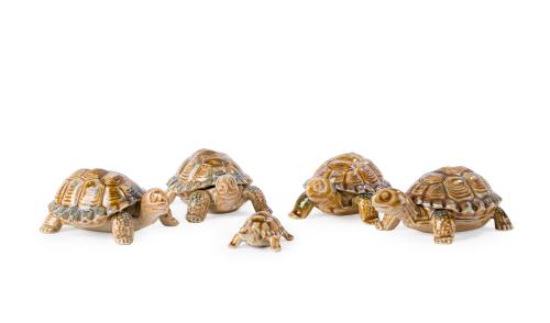 Lote de cinco tortugas de diferentes tamaño en porcelana in