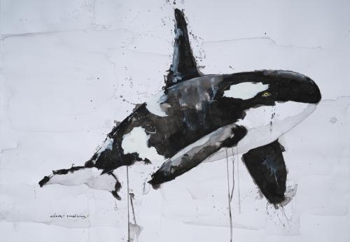 ANDRÉS MEDINA (Ciudad de México, 1978), Orca wake up, Acuar