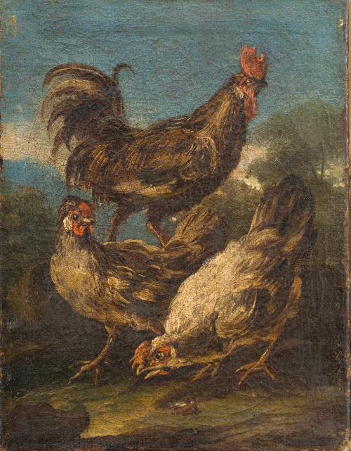 817   -  <p><span class="object_author">MELCHIOR D'HONDECOETER (Utrecht, 1636-Ámsterdam, 3 de abril de 1695). Segunda mitad del siglo XVII  - Aves de corral </span></p>