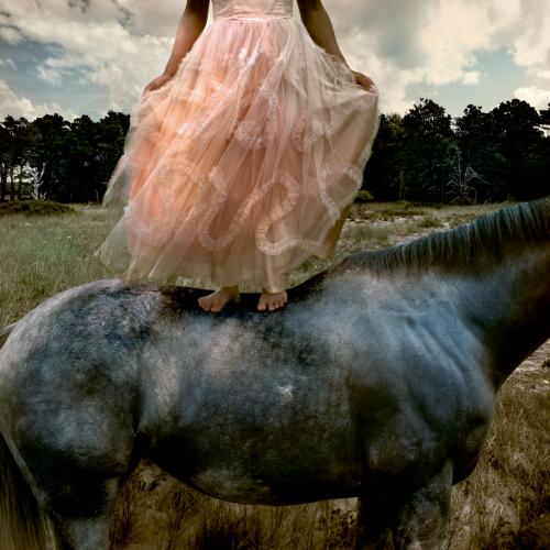 TOM CHAMBERS (Lancaster, Estados Unidos, 1948), Prom gown #