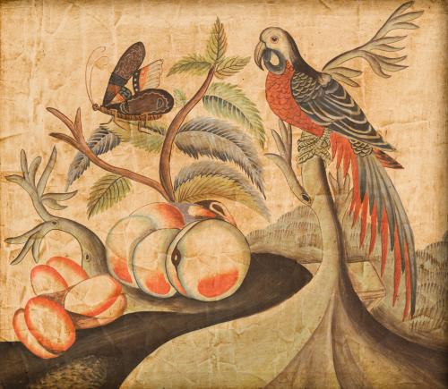 Pareja de láminas con papagayo y fruta. 