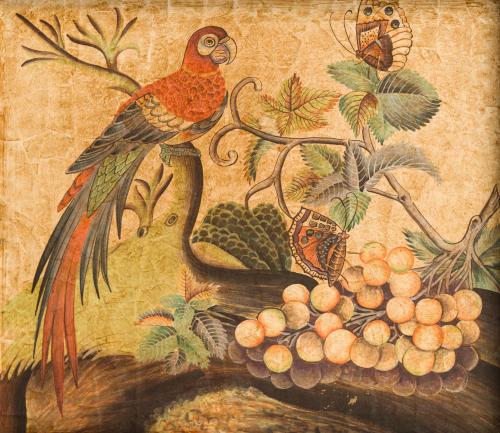 Pareja de láminas con papagayo y fruta. 