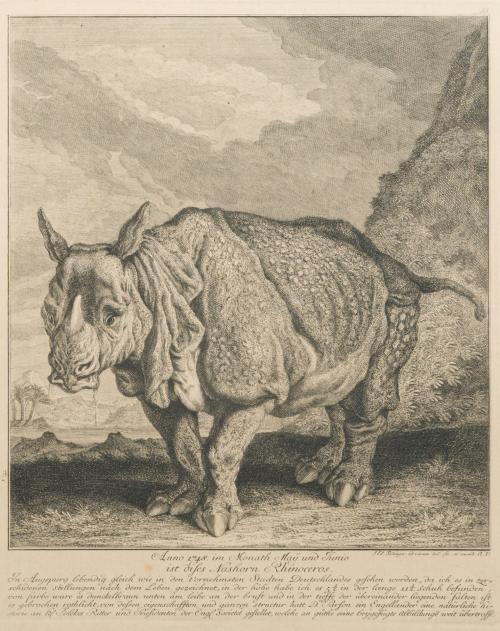 JOHANN ELIAS RIDINGER (Alemania,1698-1767), Lote de 3 graba