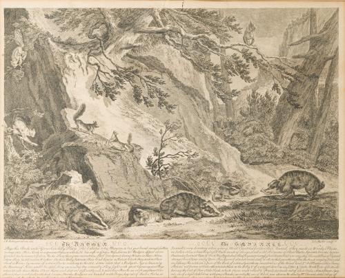 JOHANN ELIAS RIDINGER (Alemania,1698-1767), Lote de 3 graba
