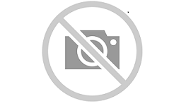 SUBASTA DEL 23 DE OCTUBRE 25